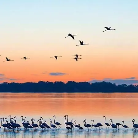 Hc Torreira Beach Apartment Torreira