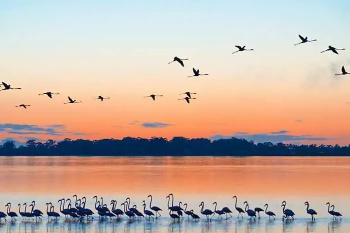 Hc Appartamento Torreira